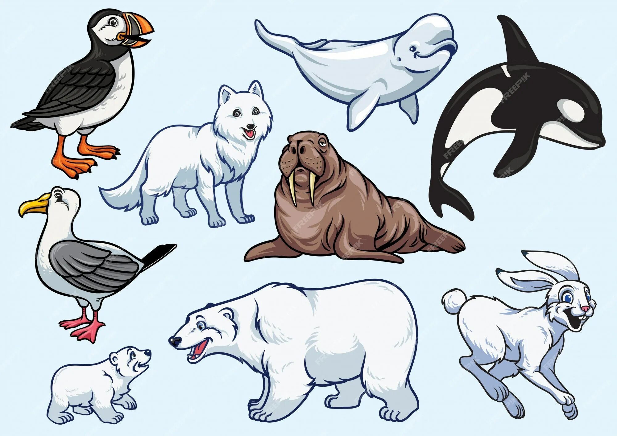 Картинка для детей северные животные Premium Vector Arctic animal set