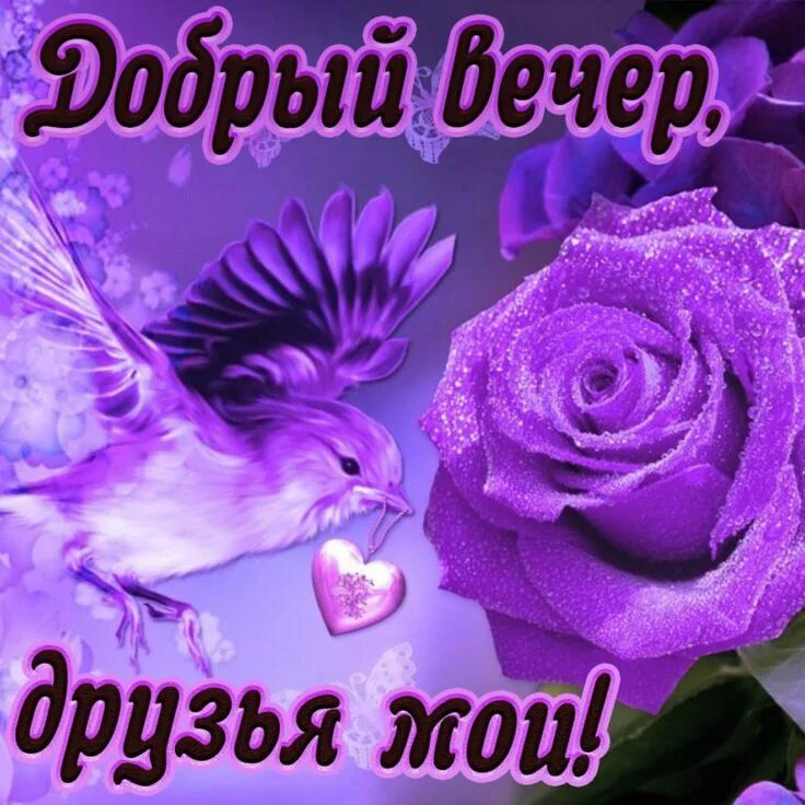 Картинка для whatsapp добрый вечер Добрый вечер! - картинки со стихами и прозой прикольные, короткие пожелания Карт