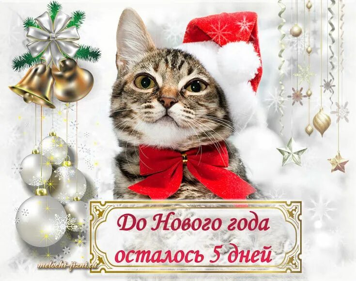 Картинка до нового года осталось Мелочи жизни - Картинки до Нового года осталось 9 - 5 дней