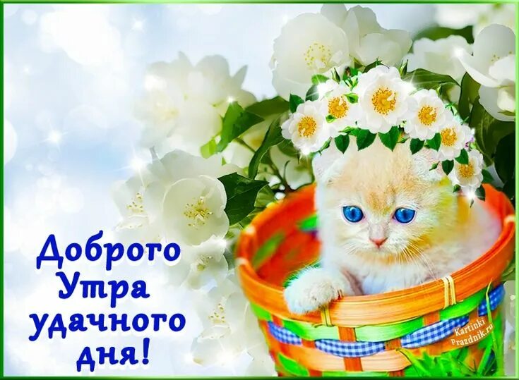 Картинка добра утра и удачного дня Пин на доске Доброго утра