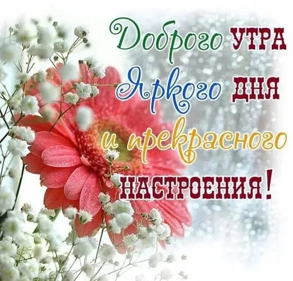 Картинка добра утра и удачного дня #сдкбарыбинодмд #культурадмд #культурамо #vsedkdmd ХОРОШЕГО ДНЯ! 2021 Дом культу