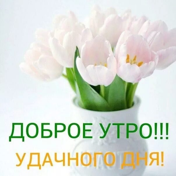 Картинка добра утра и удачного дня Pin von Ирина Юрьевна auf Картинки
