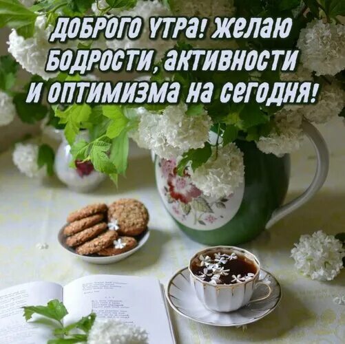 Картинка добра здоровья утро Открытка Доброго утра! желаю Бодрости, активности И оптимизма на сегодня!