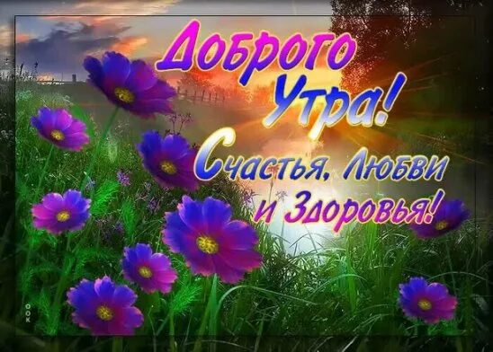 Картинка добра здоровья утро ЛЕГЕНДА - Людмила Иванова (Пестова) OK.RU