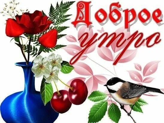 Картинка добра здоровья утро ÐÐ ° ÑÐ`Ð½Ð ° Ð`Ð ° Ð"Ð ° ÐµÐ²Ð ° adlı kullanıcının Доброе утро panosundaki Pin