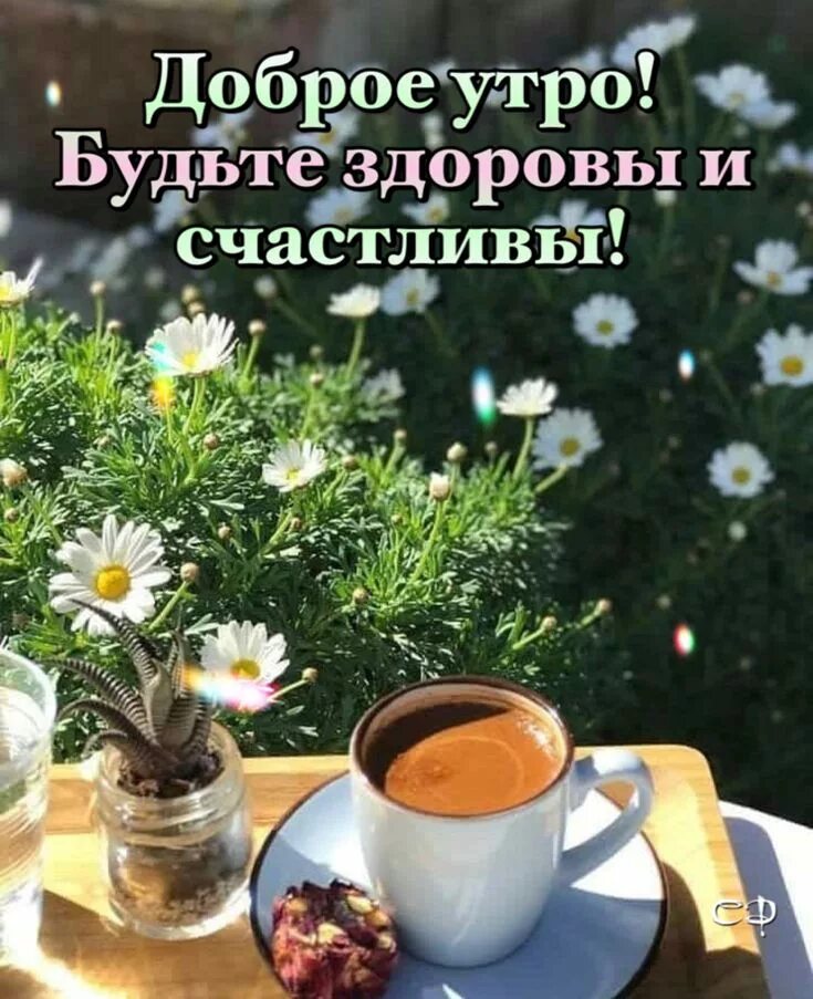 Картинка добра здоровья утро Пин от пользователя Ð*Ð²ÐµÑÐ"Ð ° Ð½Ð ° Ð на доске u0412u0438u0434u0435u043E
