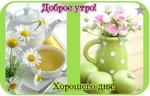 Картинка добра здоровья утро Доброе утро - "Я и ты Водолей - вместе будет веселей.", пользователь Ольга Плесо