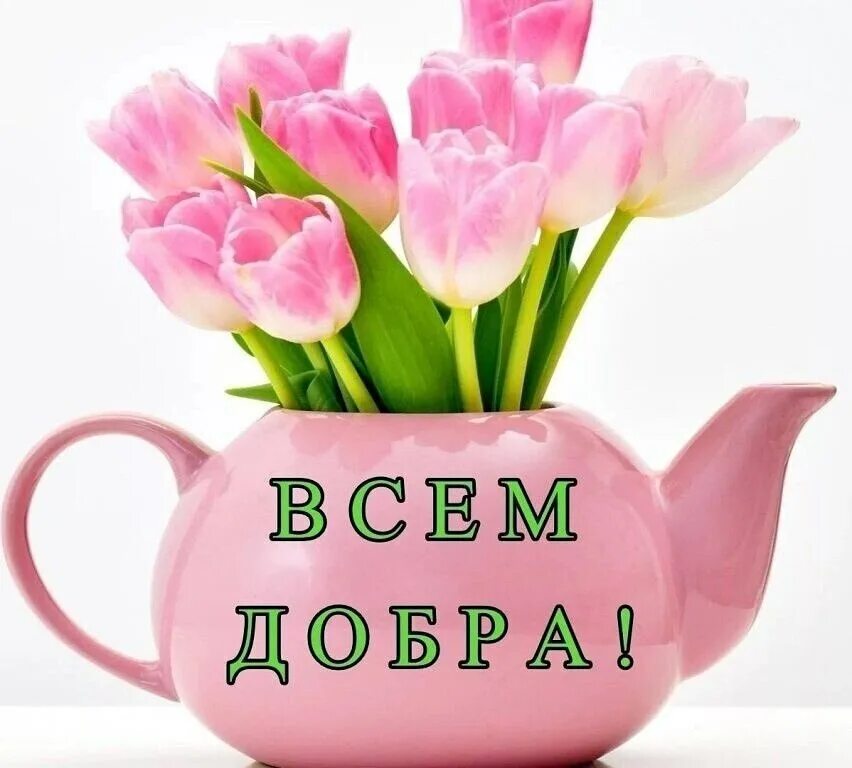 Картинка добра здоровья утро В чем смысл жизни - неизвестно, В пути у каждого он свой. Но нужно быть с собою 