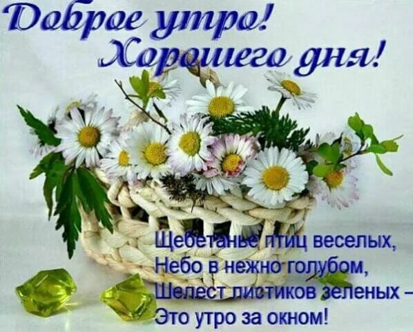 Картинка добра здоровья утро Pin by Алена on Доброе утро