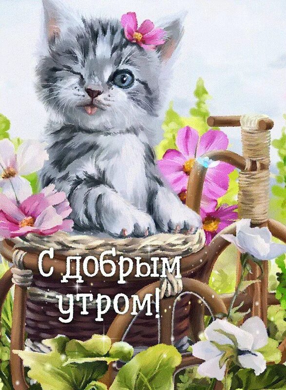 Картинка добро утро котик С Добрым утром котенок ! Котенок, Доброе утро, Слезы радости