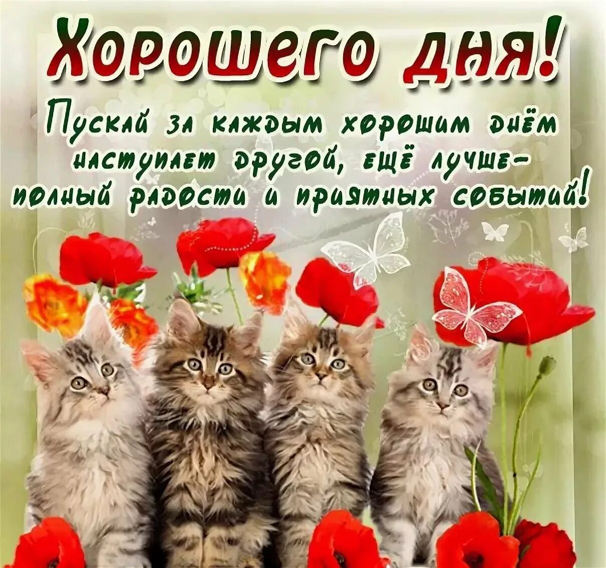 Картинка доброе дня хорошего дня отличного Хороший добрый сайт: найдено 88 изображений
