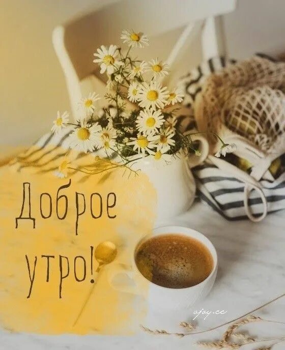 Картинка доброе хорошее утро стильная Доброе утро ♡ in 2022 Place card holders, Table decorations, Good morning