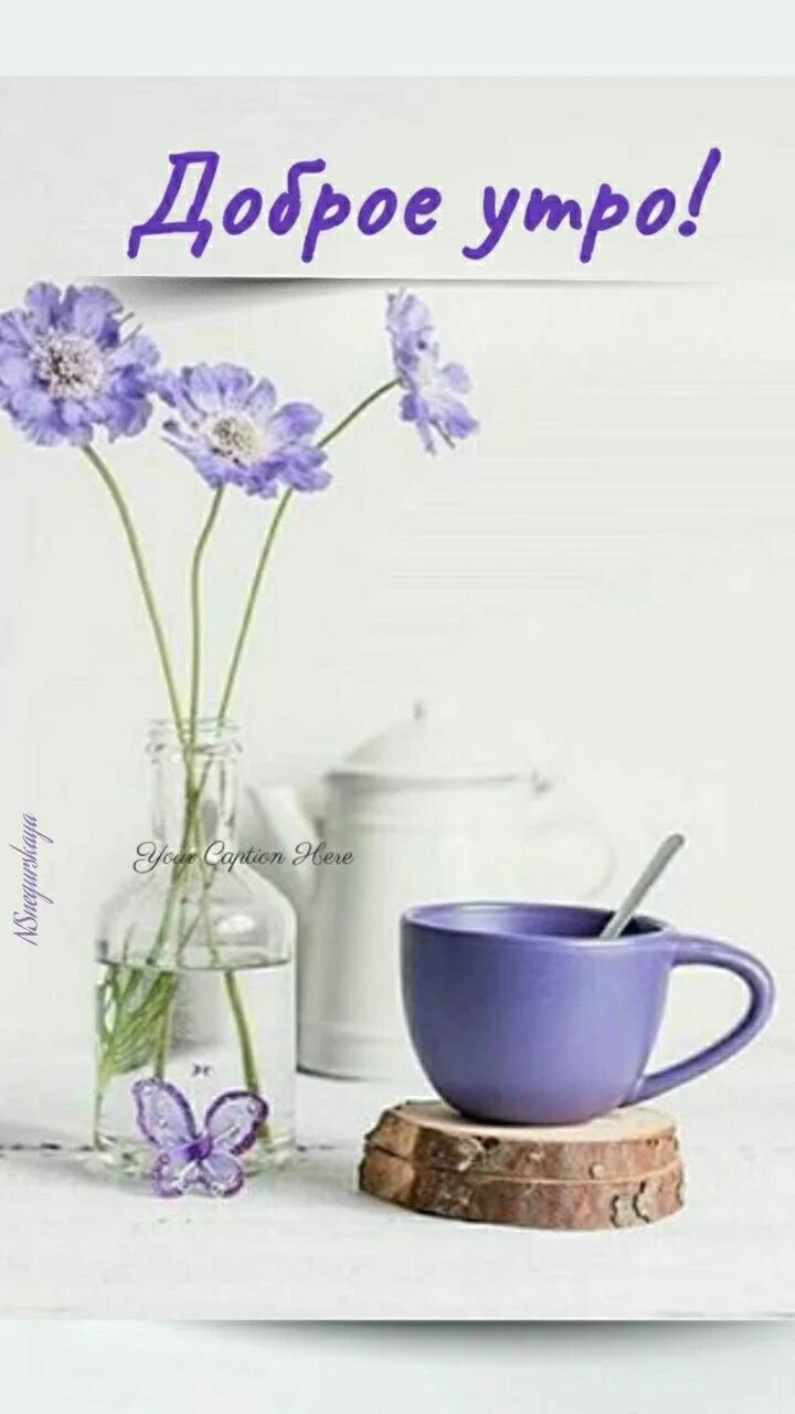 Картинка доброе хорошее утро стильная Pin by maggie amidon on Good Morning's in 2024 Good morning photos, Good morning