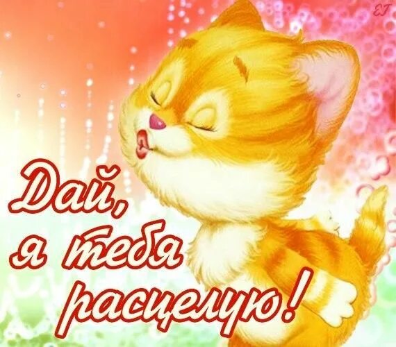 Картинка доброе хорошего дня целую Открытка картинка дай поцелую открытка поцелуй.html поцелуй Открытки Buongiorno