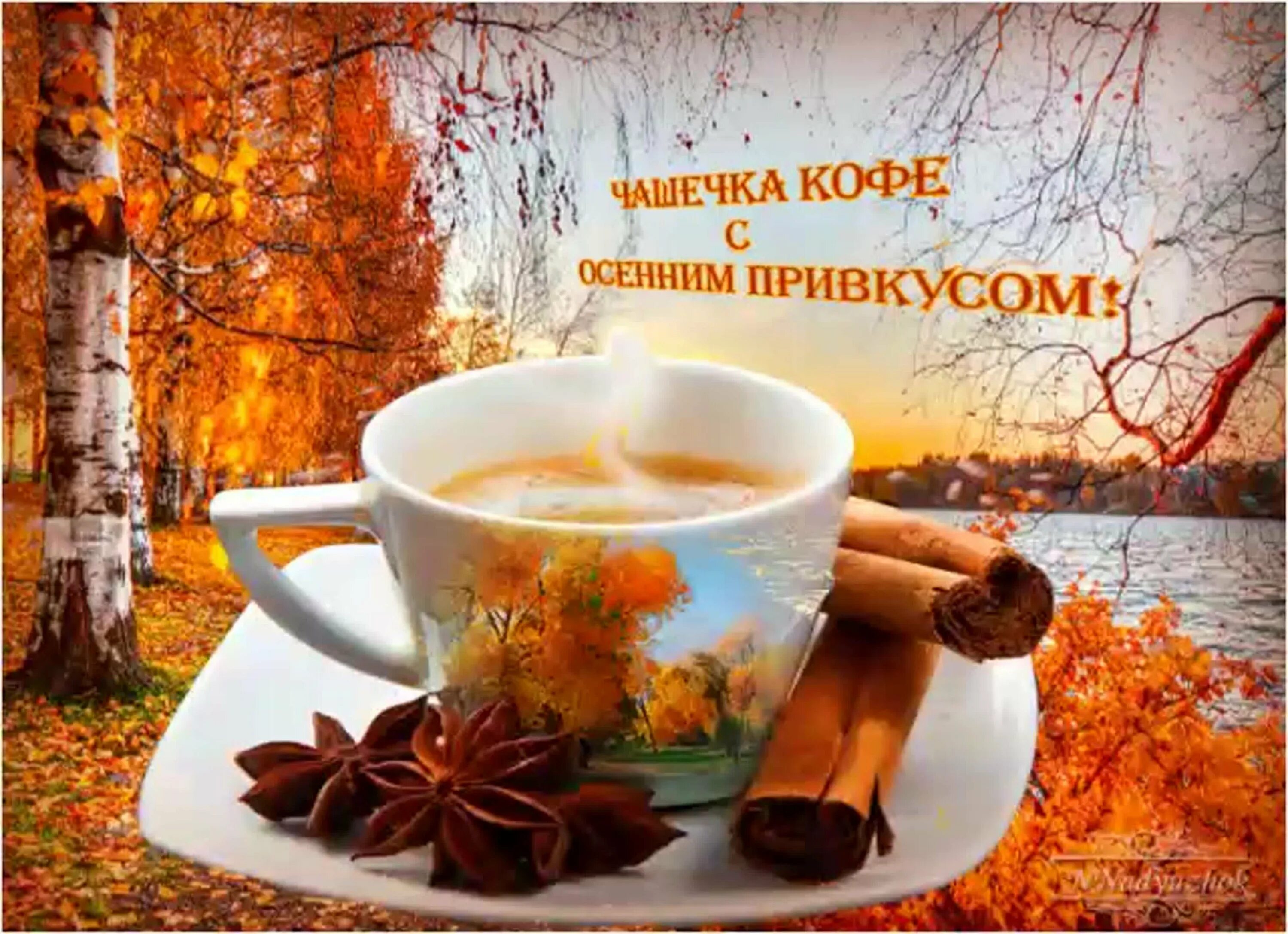 Картинка доброе осеннее утро хорошего дня Доброе утро ноября открытки картинки с надписями: найдено 83 изображений