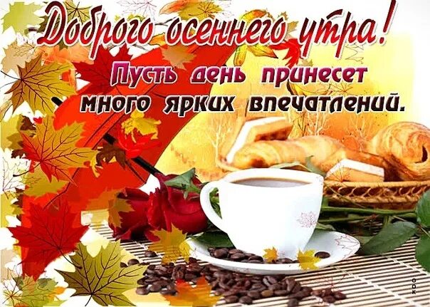 Картинка доброе осеннее утро хорошего дня Доброе утро! Прекрасного осеннего дня и замечательного самочувствия! Улыбнитесь,