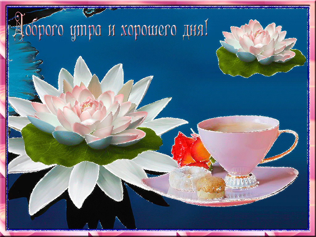 Картинка доброе утро анимация красивая пожелания Pin on Ειρηνη Big cats art, Cat art, Table decorations
