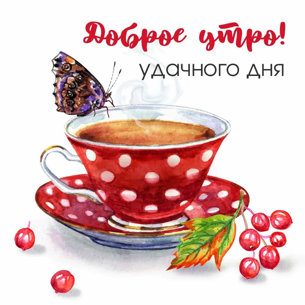 Картинка доброе утро чашечка Чашка чая: картинки доброе утро удачного дня - инстапик Доброе утро, Чашка чая, 