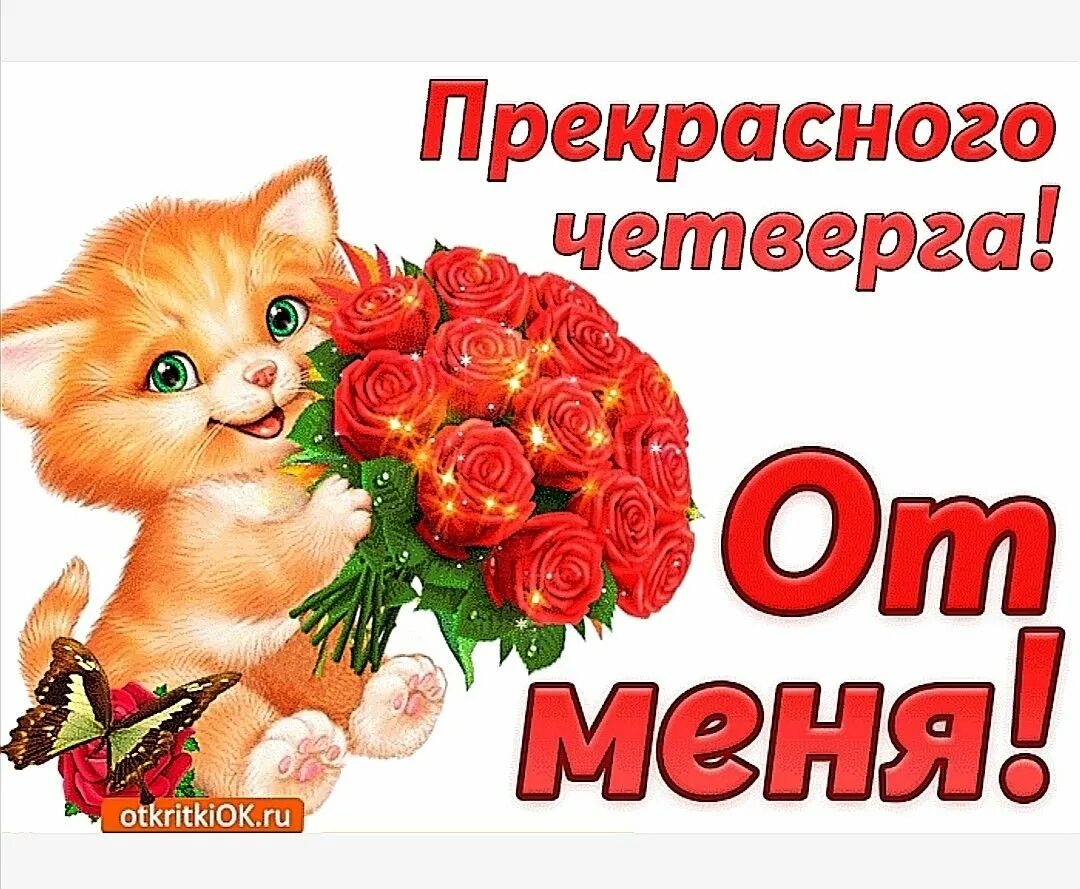 Картинка доброе утро четверга с пожеланиями Открытки с добрым утром четверга - 79 фото