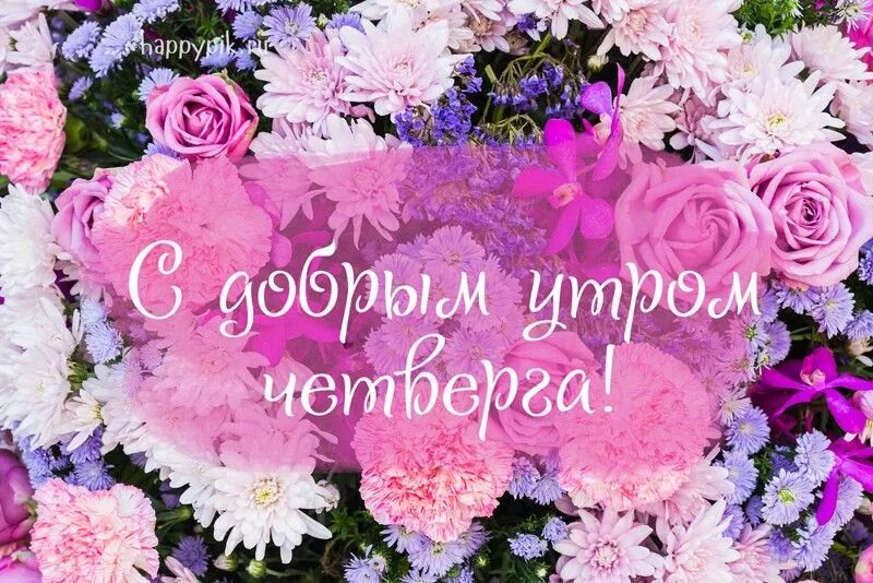 Картинка доброе утро четверга с пожеланиями Картинки с пожеланием Доброго утра четверга для друзей и близких. Открытки, Добр