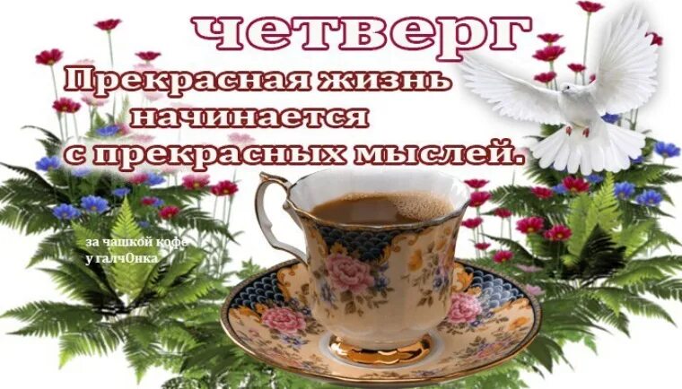 Картинка доброе утро четверга с пожеланиями Лента по интересам - Картинки - 1212970 - Tabor.ru