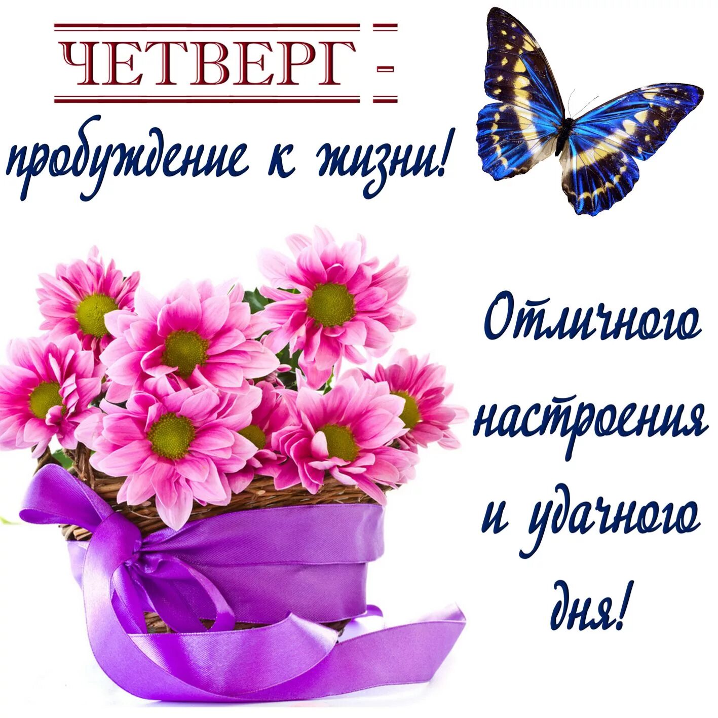 Картинка доброе утро четверга с пожеланиями Красивые картинки с четвергом