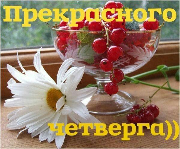 Картинка доброе утро четверга с пожеланиями Пин от пользователя Наталия Николаева на доске Дни недели. Четверг, Утро четверг
