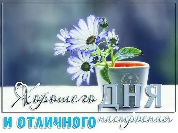 Картинка доброе утро четверга с пожеланиями ДОБРЫЕ ИСТОРИИ. - Просто ДОБРОЕ УТРО , пользователь Людмила Феденюк Группы Мой М