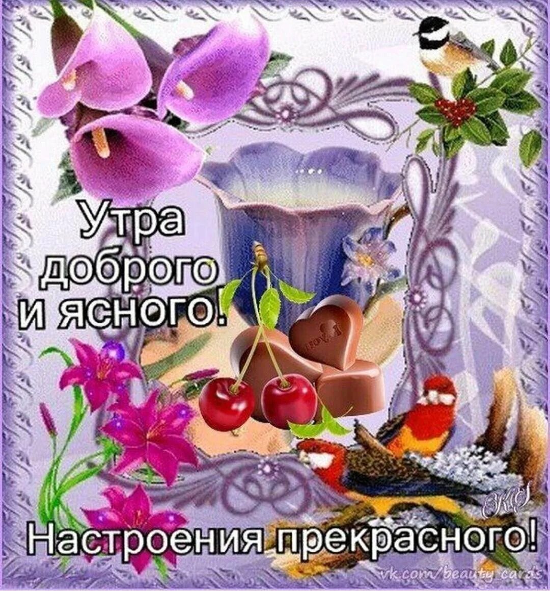 Картинка доброе утро чудесного настроения Самого доброго и чудесного утра: найдено 90 изображений
