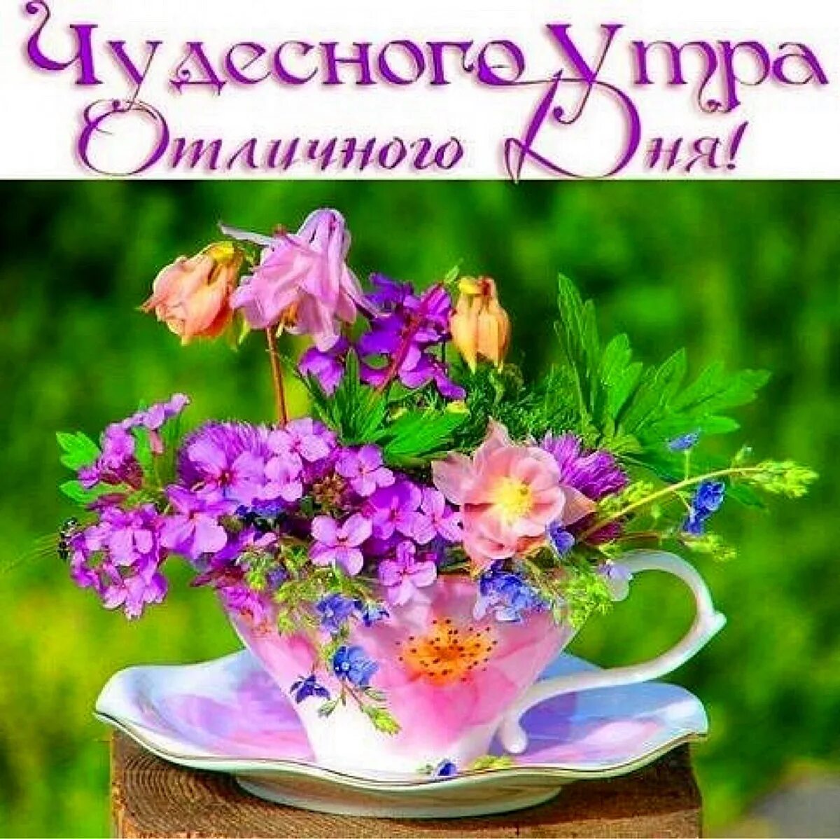 Картинка доброе утро чудесного настроения Картинки УТРО ДОБРЕЙШЕГО ПРЕКРАСНОГО НАСТРОЕНИЯ КАРТИНКИ КРАСИВЫЕ