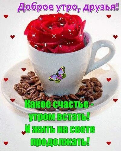 Картинка доброе утро друзья бесплатно Pinterest