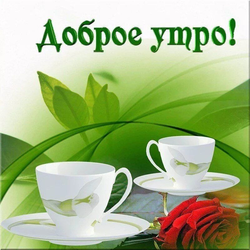 Картинка доброе утро друзья бесплатно От души,для друзей ! Almacen