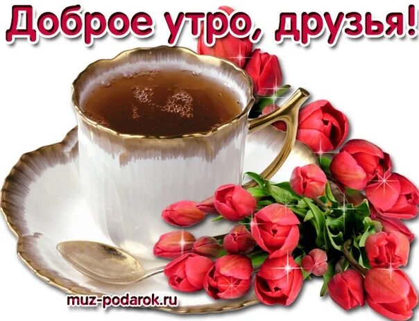 Картинка доброе утро друзья бесплатно Видео с добром утром друзья