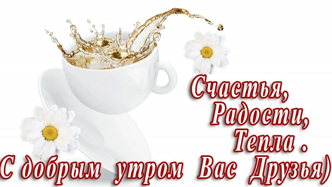 Картинка доброе утро друзья бесплатно Я желаю вам доброго утра. И хорошего светлого дня! Пусть же ... Lara Фотострана 