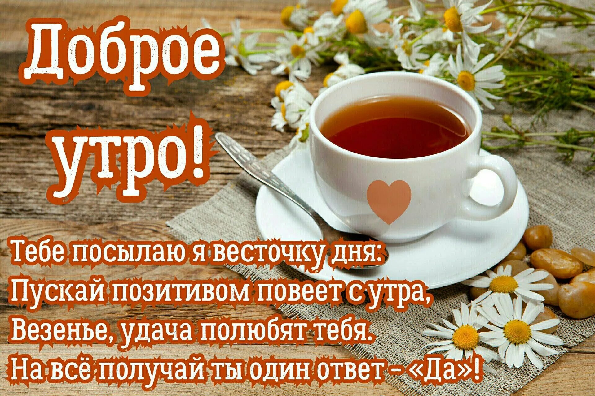 Картинка доброе утро друзья бесплатно Pin on Доброе утро Glassware, Tableware