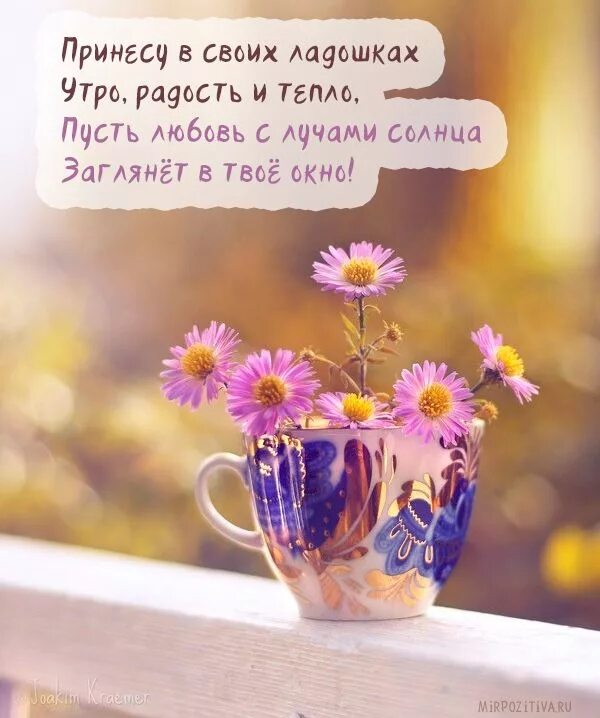 Картинка доброе утро друзья позитивная с пожеланиями Beautiful flowers, Flowers, Tea cups