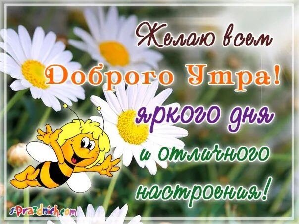 Картинка доброе утро друзья позитивная с пожеланиями 02.03.23г. Доброе утро! 2023 1 класс. МБОУ "Школа-интернат № 8 г. Донецка" ВКонт