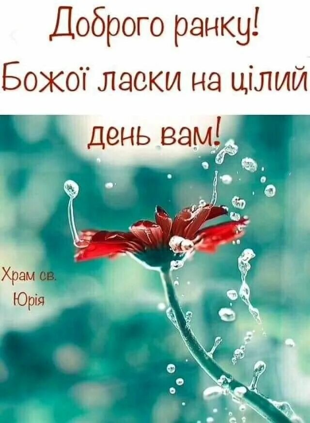 Картинка доброе утро душа красивая Pin by Света Плюта on Доброе утро Good morning, Poster, Movie posters