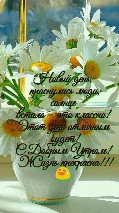 Картинка доброе утро душевная позитивная Pin on Доброе утро картинки Good morning greetings, Morning greeting, Good morni