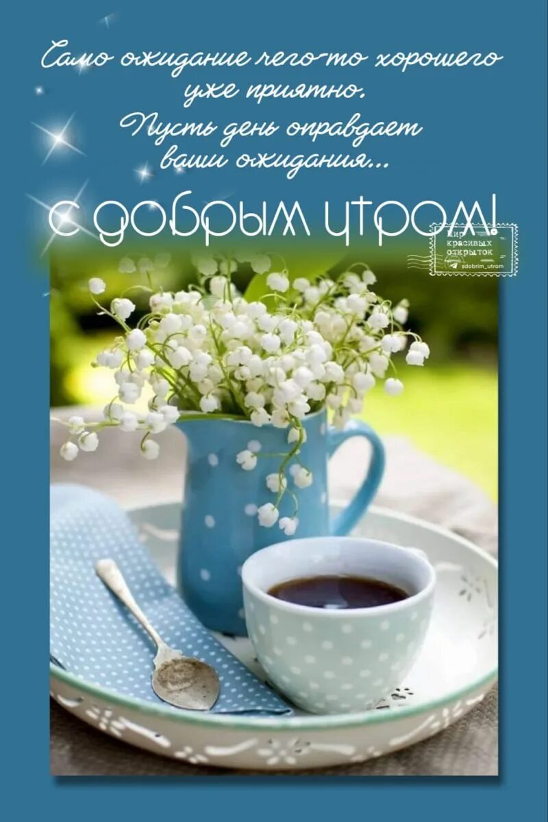 Картинка доброе утро душевная позитивная Pin by Kozlovtceva on Доброе утро Quick