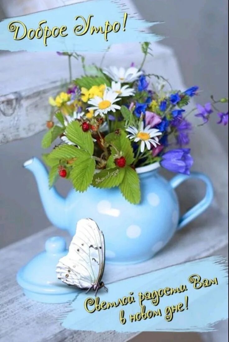 Картинка доброе утро душевная позитивная Pin on Добрий ранок Good morning, Good morning images, Congratulations