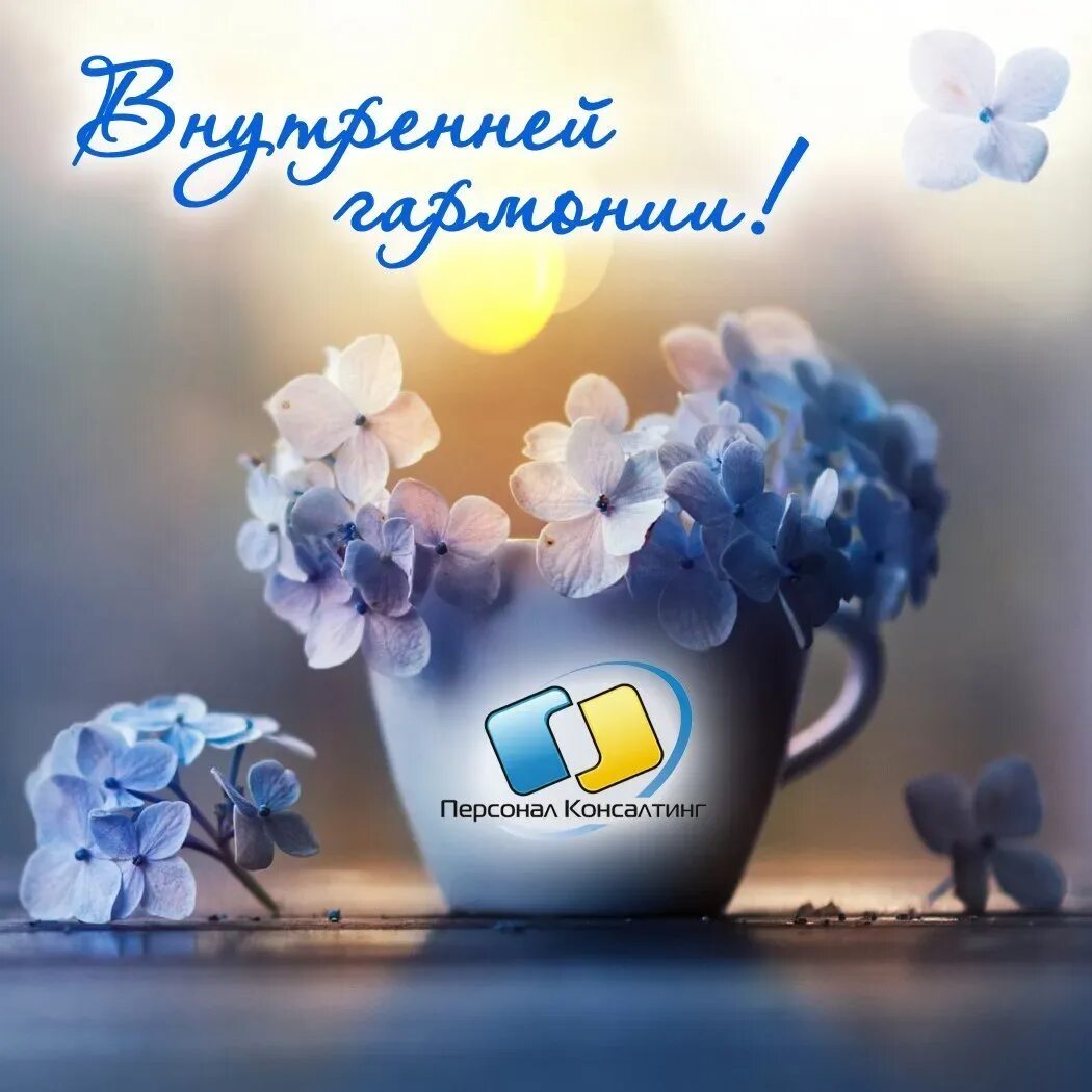 Картинка доброе утро душевная позитивная Доброе утро надежда (57 картинок)