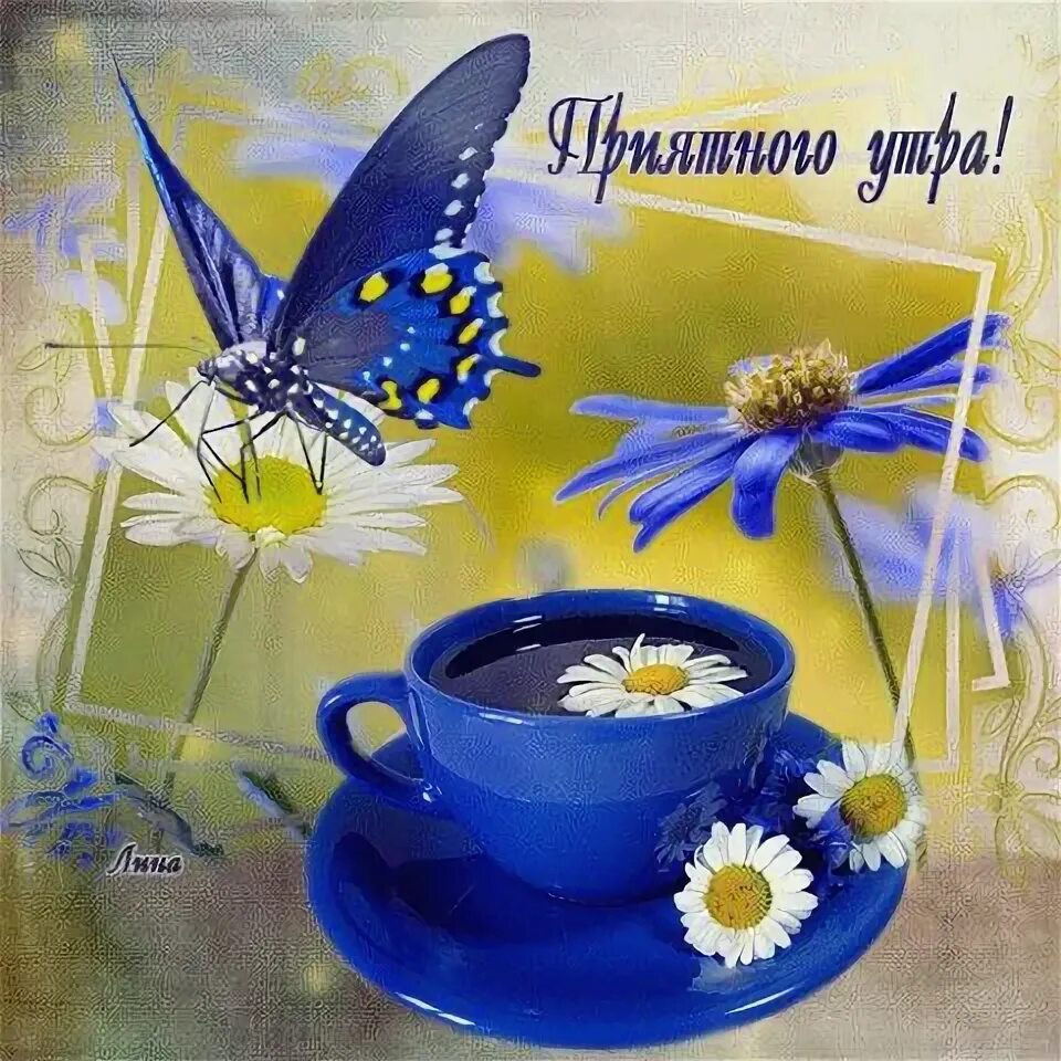 Картинка доброе утро хорошего дня гифки В такое солнечное утро хочется чего то необыкновенного, такого же солнечного и в