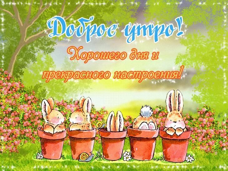 Картинка доброе утро хорошего дня отличного настроения Плейкаст "Доброе утро! Хорошего дня и прекрасного настроения!