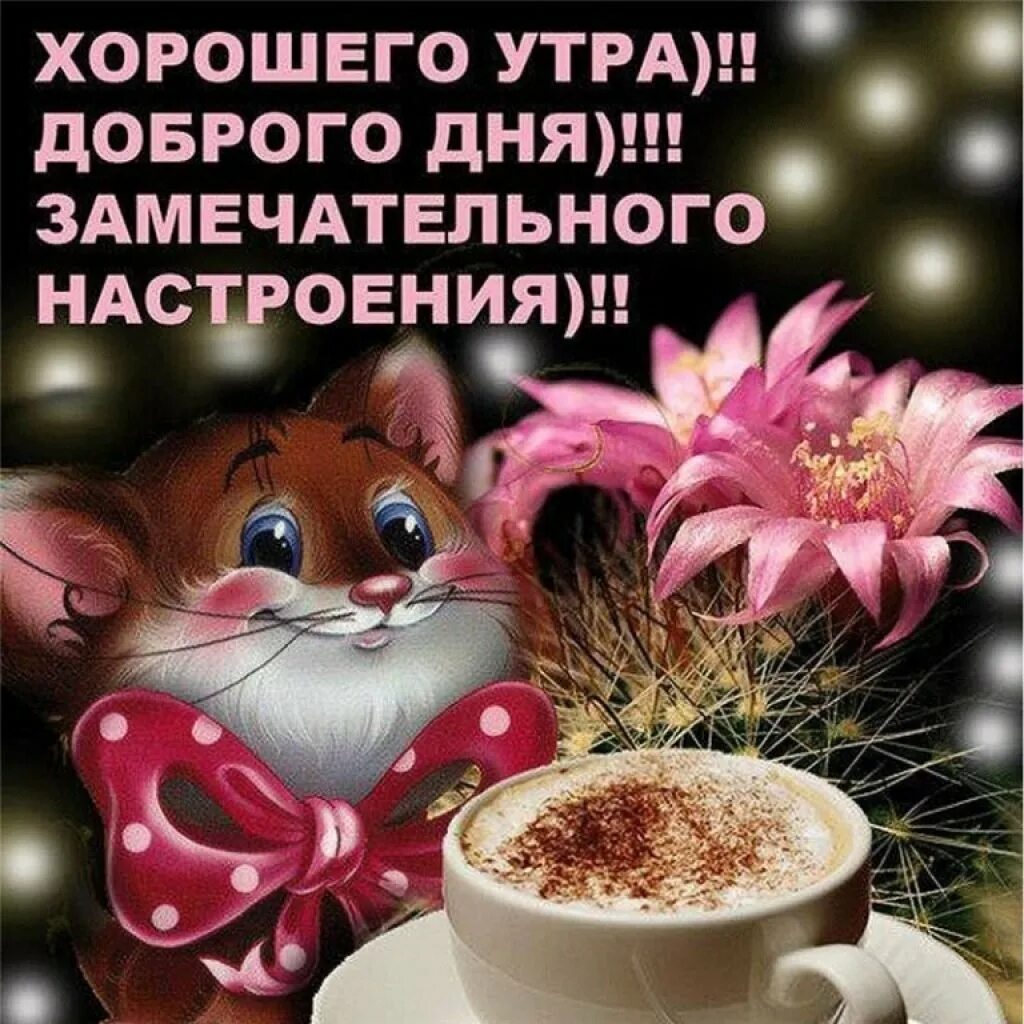 Картинка доброе утро хорошего дня отличного настроения Доброе прекрасное утро и замечательного дня - 85 фото - смотреть онлайн