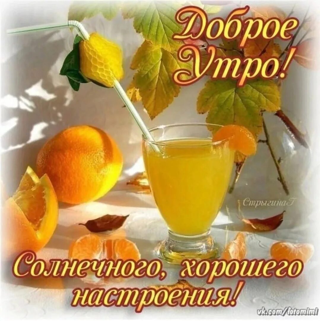 Картинка доброе утро хорошего дня отличного настроения Good morning! 2022 Мамина радость VK