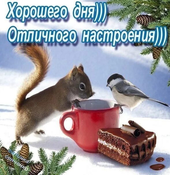 Картинка доброе утро хорошего дня зимние Хорошего зимнего дня, Тепла, заботы, ласки И пусть сбудется мечта, Как в новогод