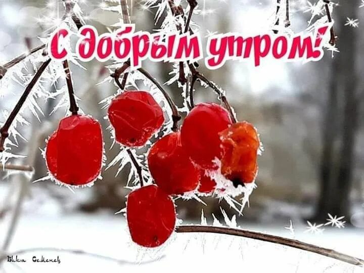 Картинка доброе утро хорошего дня зимние Пин от пользователя Елена Афанасова на доске Доброе утро Открытки, Обои, Сообщен