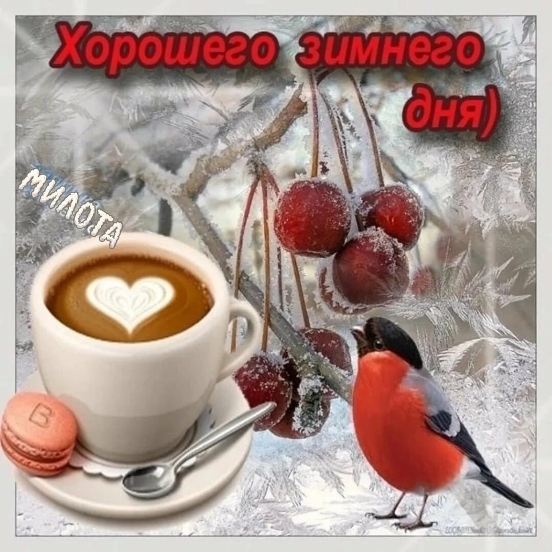 Картинка доброе утро хорошего дня зимние Доброго зимнего дня субботы