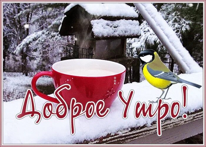 Картинка доброе утро хорошего дня зимние HAPPY MORNING FRIENDS ! Start your life in the morning Certainly good, With good